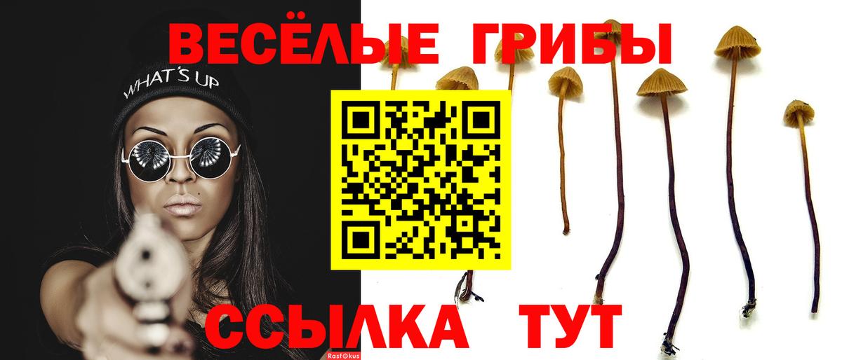 Галлюциногенные грибы мицелий  Вход с VPN  Гурьевск 